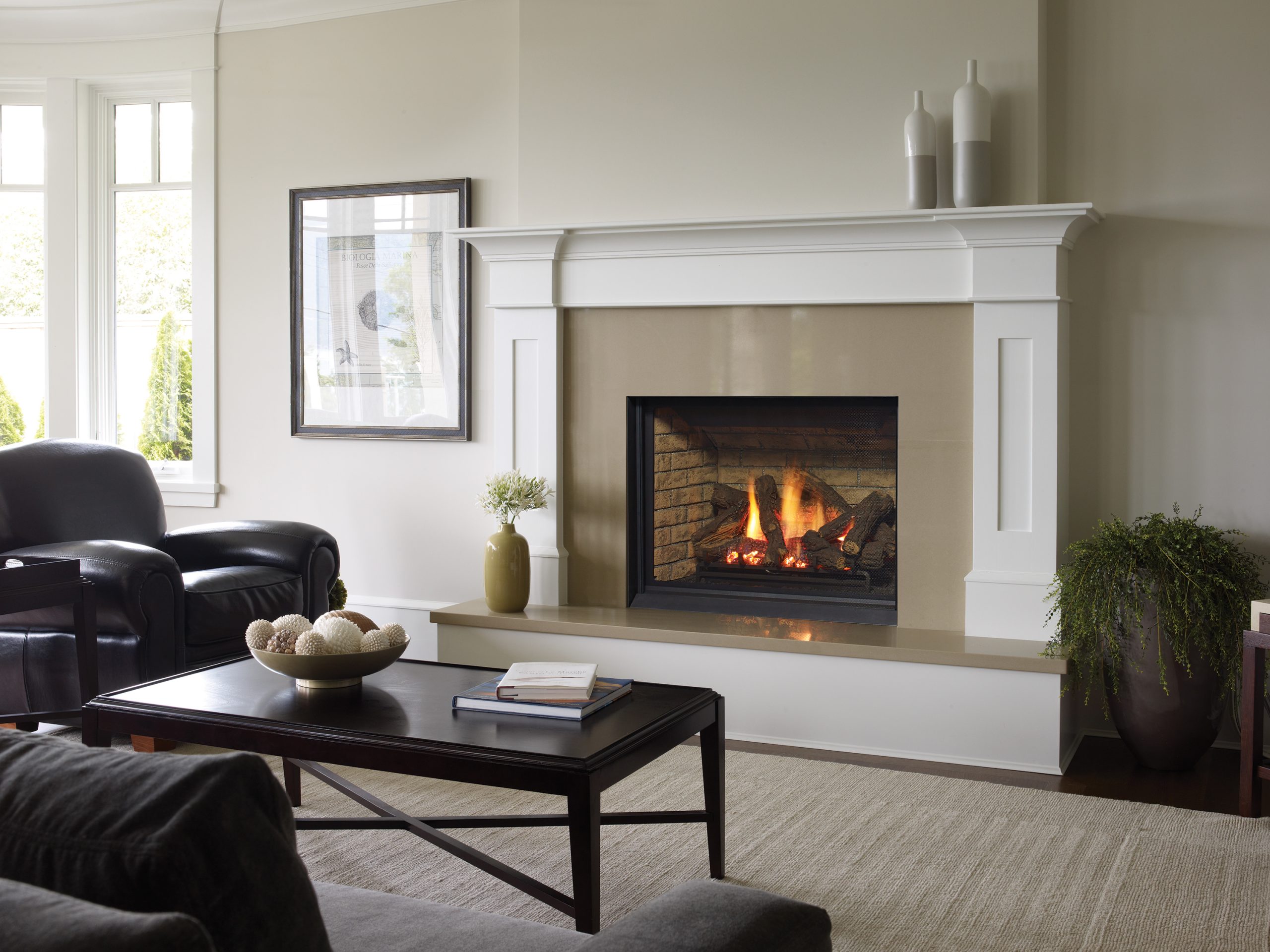 gas fireplace service