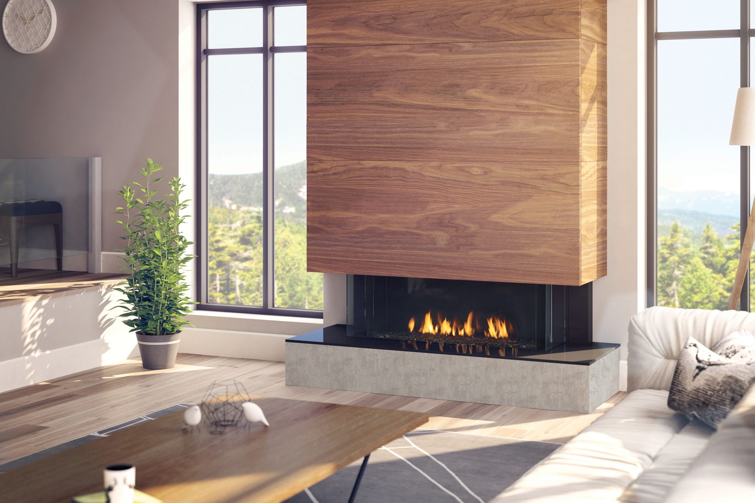 gas fireplace service