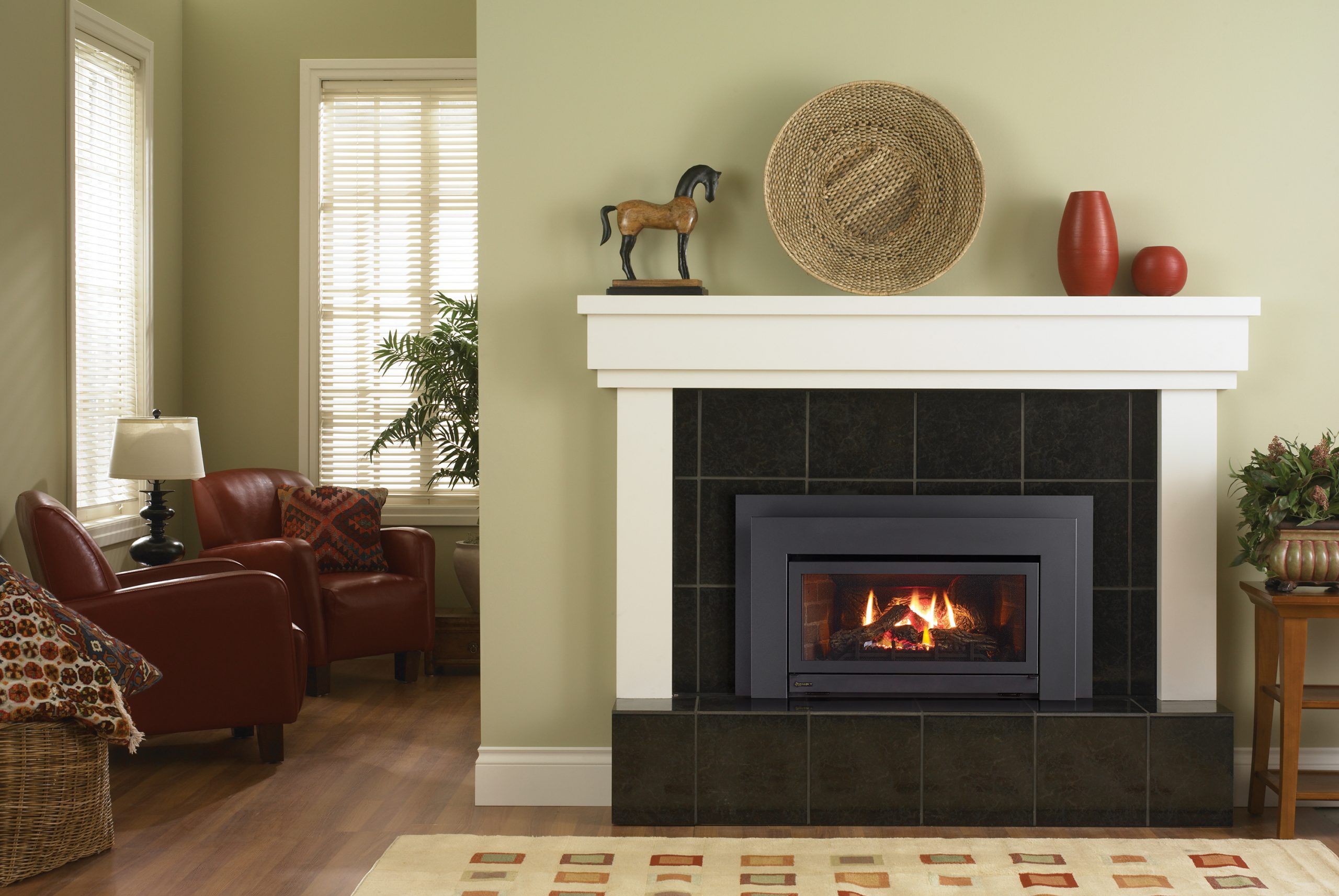 direct vent gas fireplace insert